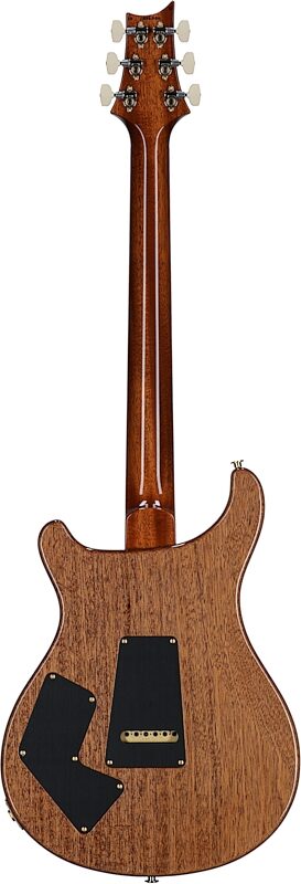 open zoom image for PRS Paul Reed Smith Modern Eagle V 10-Top Electric Guitar, (with case), Carroll Blue Smokeburst, Serial Number 0386886, Full Straight Back