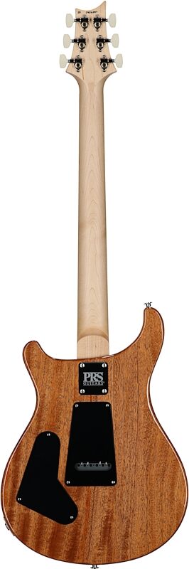 open zoom image for PRS Paul Reed Smith CE 24 Semi-Hollowbody Electric Guitar (with Gig Bag), Carroll Blue, Serial Number 0406947, Full Straight Back