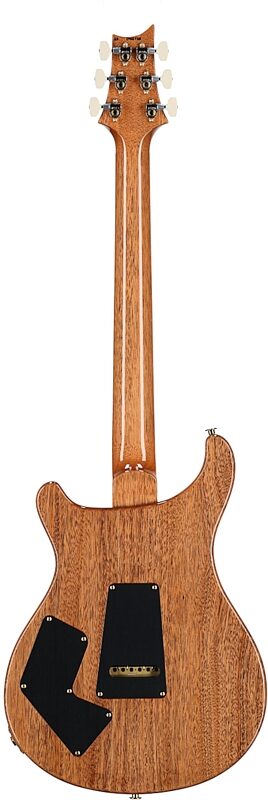 open zoom image for PRS Paul Reed Smith Modern Eagle V 10-Top Electric Guitar, (with case), Aurora Borealis, Serial Number 0412725, Full Straight Back