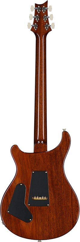 open zoom image for PRS Paul Reed Smith Custom 24 10-Top Electric Guitar with Case, Black Gold, Serial Number 0407459, Full Straight Back