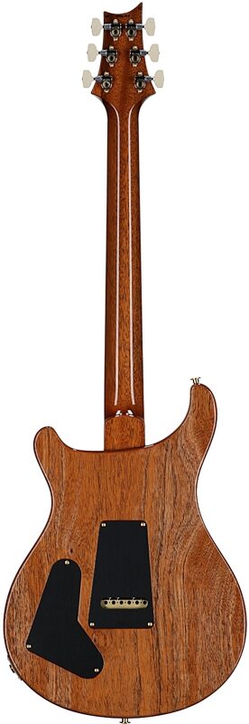 open zoom image for PRS Paul Reed Smith Special Semi-Hollow LTD 10-Top Electric Guitar (with Case), Aurora Borealis, Serial Number 0416979, Full Straight Back