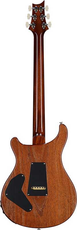 open zoom image for PRS Paul Reed Smith Custom 24 Piezo Electric Guitar (with Case), Aurora Borealis, Serial Number 0420429, Full Straight Back