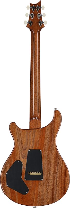 open zoom image for PRS Paul Reed Smith DGT Semi-Hollow Birds Electric Guitar (with Case), Faded Blue Jean, Serial Number 0420510, Full Straight Back