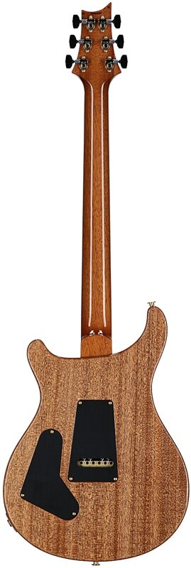 open zoom image for PRS Paul Reed Smith Custom 24 Limited 10-Top Electric Guitar (with Case), Arctic Blue, Serial Number 0421893, Full Straight Back