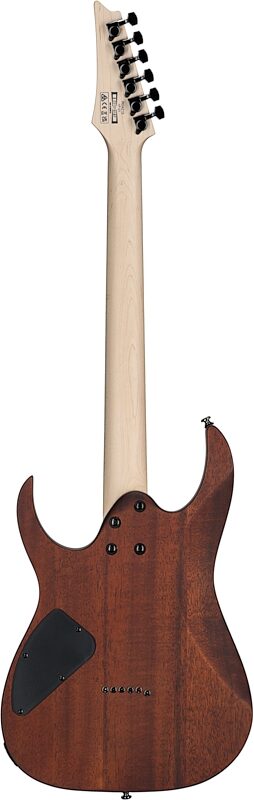open zoom image for Ibanez RG421S Electric Guitar, Sea Shore Matte, Open Box (Good), Full Straight Back