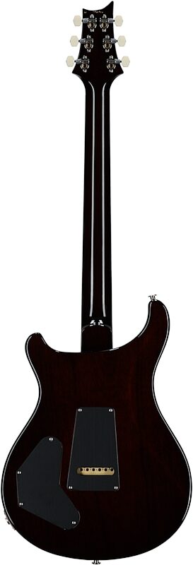 open zoom image for PRS Paul Reed Smith DGT Semi-Hollowbody Birds Electric Guitar (with Case), Tobacco Sunburst, Full Straight Back