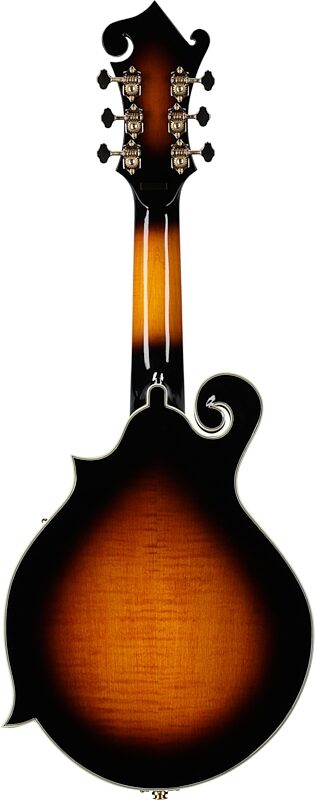 open zoom image for Gold Tone F-6+ F-Style Mando-Guitar (with Case), New, Full Straight Back