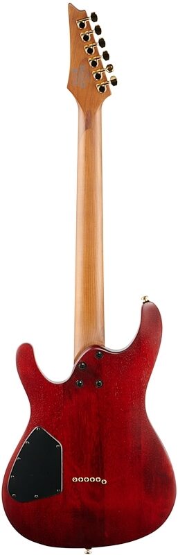 open zoom image for Ibanez SEW761FM Electric Guitar, Natural Flat, Full Straight Back