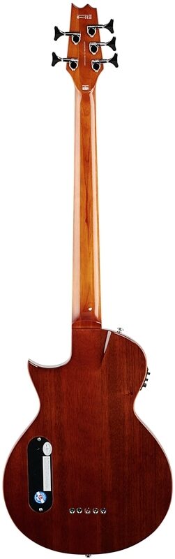open zoom image for ESP LTD TL5 Thinline Acoustic-Electric Bass, Natural, Full Straight Back