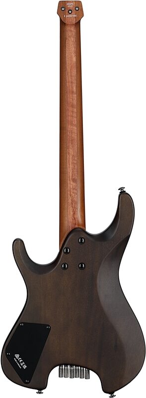 open zoom image for Ibanez Q52PENTF Electric Guitar (with Gig Bag), Natural Flat, Full Straight Back