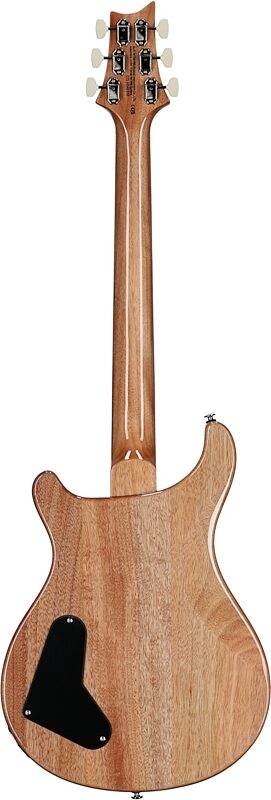 open zoom image for PRS Paul Reed Smith SE Paul's Guitar Electric Guitar (with Gig Bag), Slate Blue, Full Straight Back