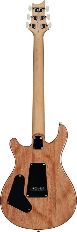 open zoom image for PRS Paul Reed Smith SE CE 24 Electric Guitar (with Gig Bag), Slate Blue, Full Straight Back