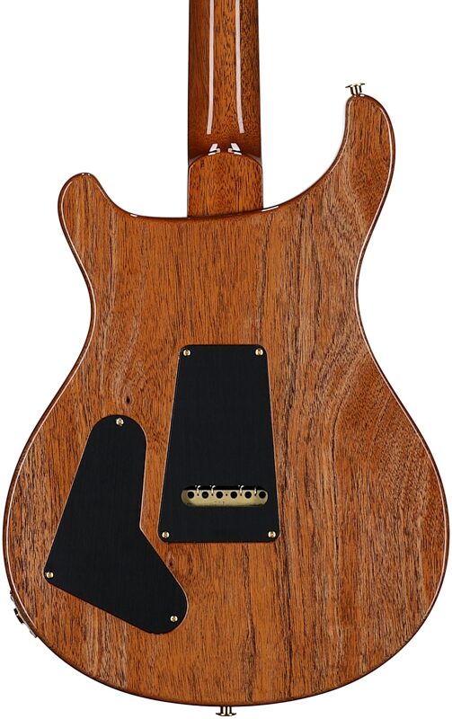 open zoom image for PRS Paul Reed Smith Special Semi-Hollow LTD 10-Top Electric Guitar (with Case), Aurora Borealis, Serial Number 0416979, Body Straight Back