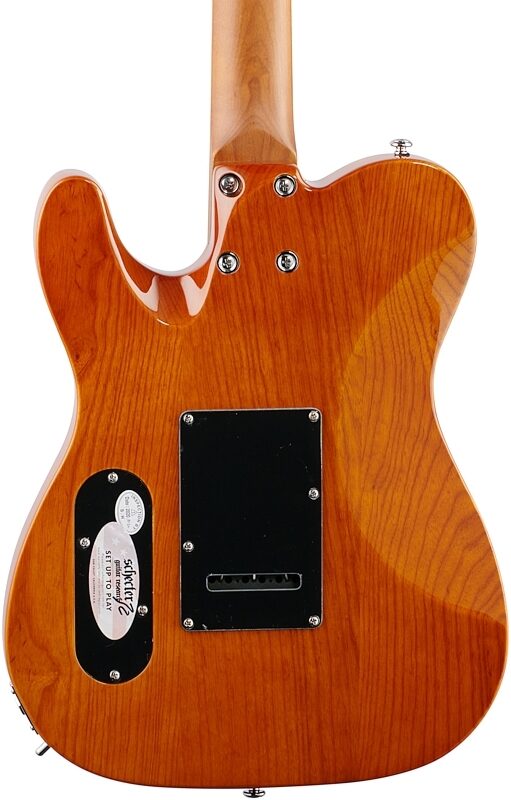 open zoom image for Schecter PT Van Nuys Electric Guitar, Gloss Natural, Body Straight Back