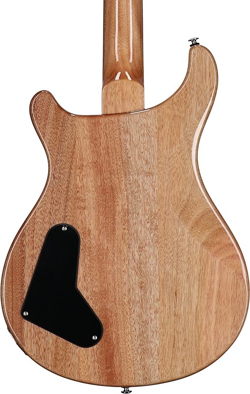 open zoom image for PRS Paul Reed Smith SE Paul's Guitar Electric Guitar (with Gig Bag), Slate Blue, Body Straight Back