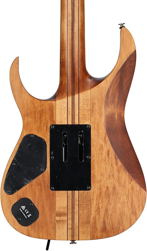 open zoom image for Ibanez RGT1220PB Premium Electric Guitar (with Gig Bag), Antique Brown Stain, Body Straight Back