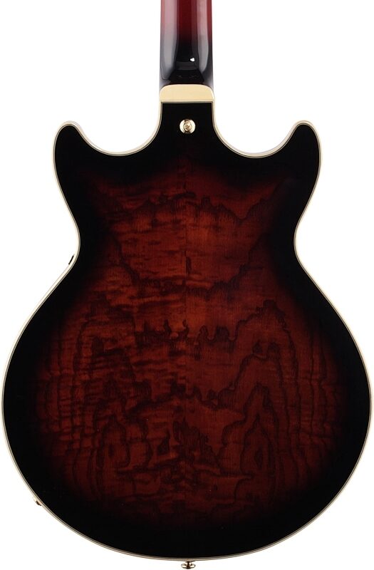 open zoom image for Ibanez Artstar AM153QA Semi-Hollowbody Electric Guitar (with Case), Dark Brown Sunburst, Body Straight Back