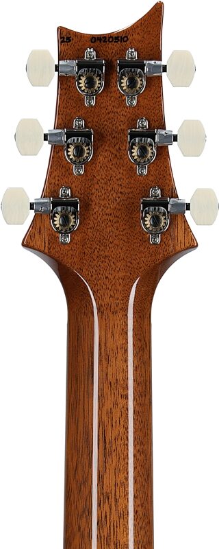 open zoom image for PRS Paul Reed Smith DGT Semi-Hollow Birds Electric Guitar (with Case), Faded Blue Jean, Serial Number 0420510, Headstock Straight Back