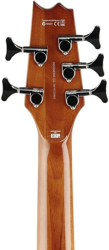 open zoom image for ESP LTD TL5 Thinline Acoustic-Electric Bass, Natural, Headstock Straight Back