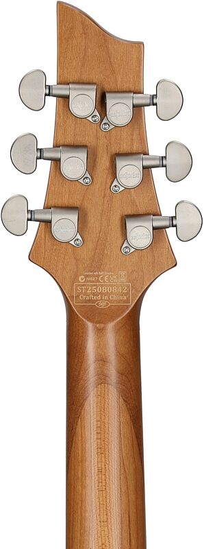 open zoom image for Schecter C-1 Standard Plus Electric Guitar, Maple Fingerboard, Blue Fade, Headstock Straight Back