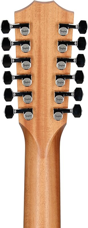 open zoom image for Taylor 254ce Plus Grand Auditorium Acoustic-Electric Guitar, 12-String (with Case), New, Headstock Straight Back