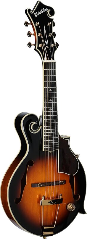 open zoom image for Gold Tone F-6+ F-Style Mando-Guitar (with Case), New, Body Left Front