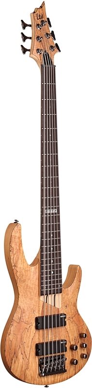 open zoom image for ESP LTD B206SM Electric Bass, 6-String, Natural Satin, Body Left Front