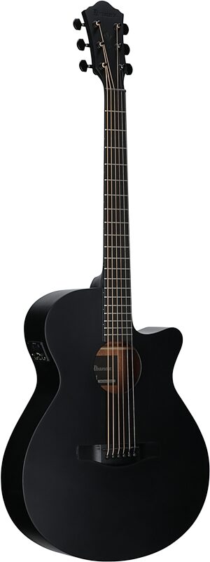 open zoom image for Ibanez AEG621 Acoustic-Electric Guitar, Black Out, Body Left Front
