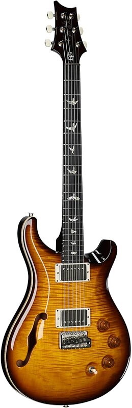 open zoom image for PRS Paul Reed Smith DGT Semi-Hollowbody Birds Electric Guitar (with Case), Tobacco Sunburst, Body Left Front