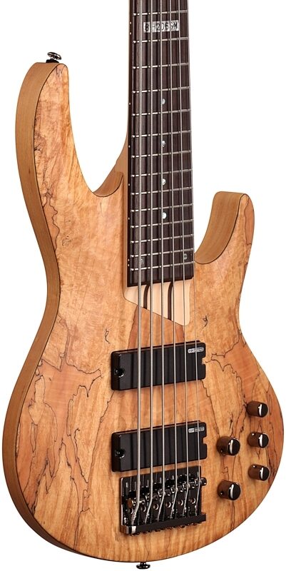 open zoom image for ESP LTD B206SM Electric Bass, 6-String, Natural Satin, Full Left Front