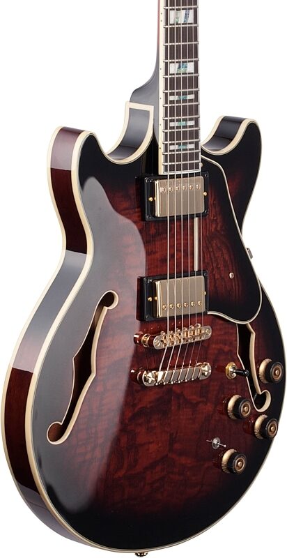 open zoom image for Ibanez Artstar AM153QA Semi-Hollowbody Electric Guitar (with Case), Dark Brown Sunburst, Full Left Front