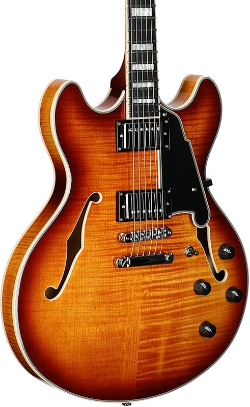 open zoom image for D'Angelico Premier DC Electric Guitar (with Gig Bag), Dark Iced Tea Burst, Full Left Front