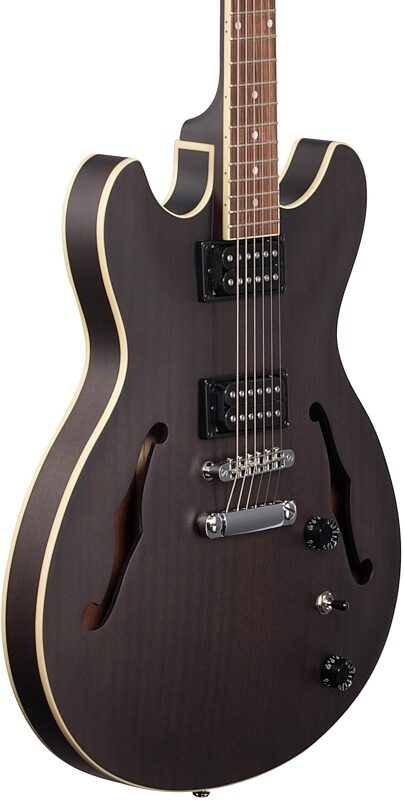 open zoom image for Ibanez AS53 Artcore Semi-Hollowbody Electric Guitar, Flat Transparent Black, Full Left Front