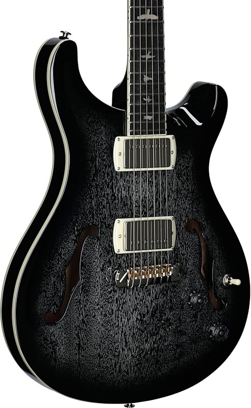 open zoom image for PRS Paul Reed Smith SE Hollowbody Standard v2 Electric Guitar (with Gig Bag), Dog Hair Smokeburst, Full Left Front