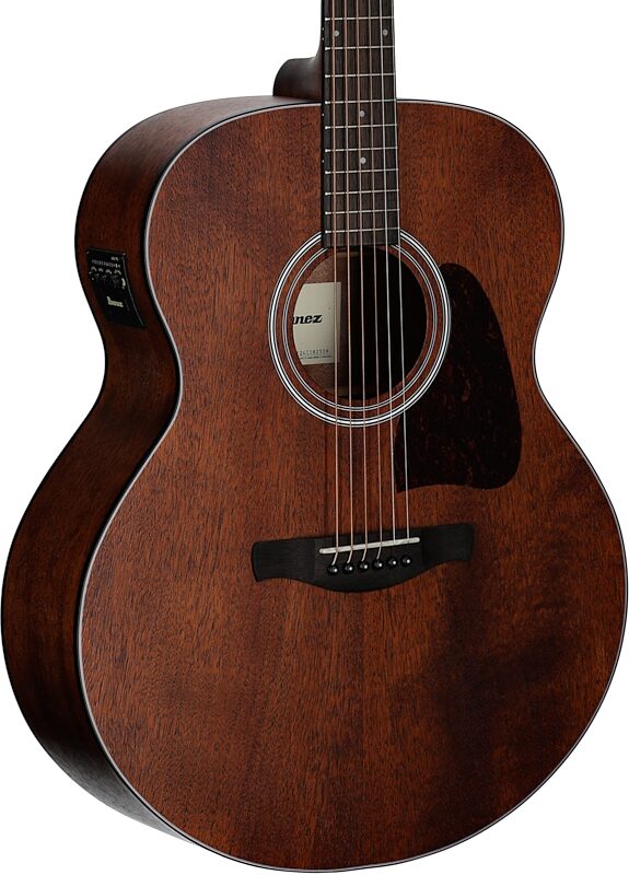open zoom image for Ibanez AJ54E Artwood Acoustic-Electric Guitar, Open Pore Natural, Full Left Front