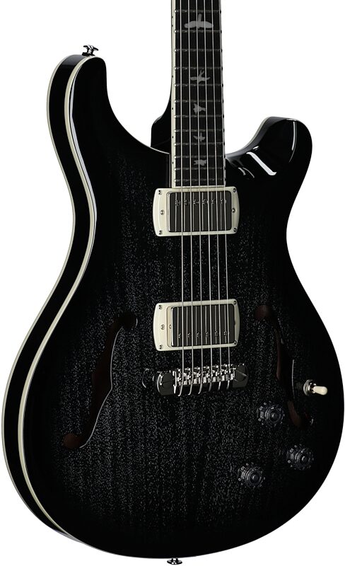 open zoom image for PRS Paul Reed Smith SE Hollowbody Standard Piezo Electric Guitar (with Gig Bag), Dog Hair Smokeburst, Full Left Front
