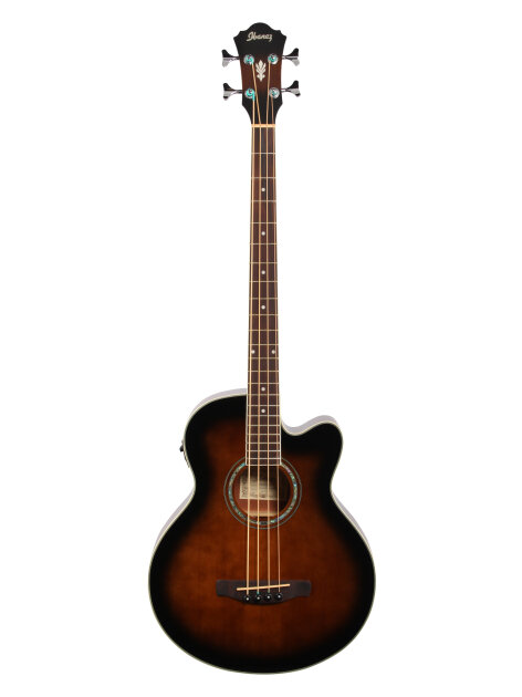 【待望★】 Ibanez AEB10E zZounds | Bass Acoustic-Electric ベース
