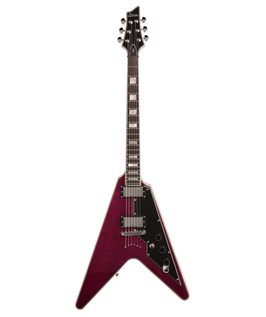 goldfieldstvet.edu.za - SCHECTER V-1 CUSTOM Trans Purple 価格比較