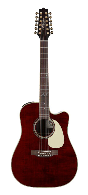 高額買取実施中!!】TAKAMINE タカミネ 12弦ギター エレアコ