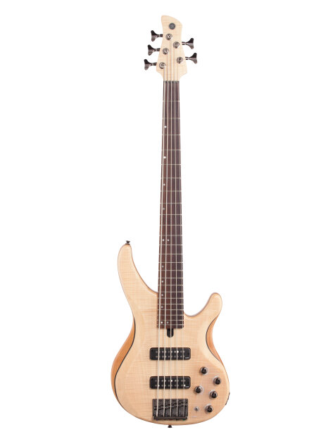 Yamaha TRBX605FM Electric Bass, 5-String