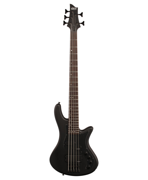 Schecter deals 5 string