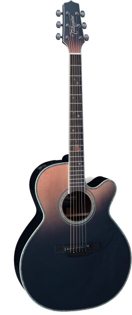 円高還元 TAKAMINE 希少 日本未発売 逆輸入 海外 EAN10C ギター 