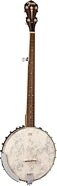 Fender Paramount Series PB-180E Acoustic Electric Banjo (with Gig Bag)