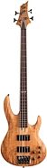 ESP LTD B-204SM Fretless Electric Bass