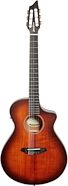 Breedlove Discovery Concert Nylon CE Acoustic-Electric Guitar