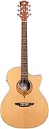Luna Heartsong Grand Concert Acoustic-Electric Guitar with USB