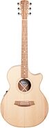 Cole Clark AN 2 Series EC Bunya-Blackwood Acoustic-Electric Guitar (with Case)