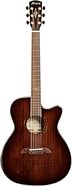 Alvarez MFA77CEARSHB Acoustic-Electric Guitar (with Gig Bag)