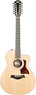 Taylor 254ce Grand Auditorium Rosewood Acoustic-Electric Guitar, 12-String (with Gig Bag)