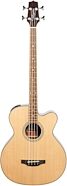 Takamine GB-30CE Acoustic-Electric Bass